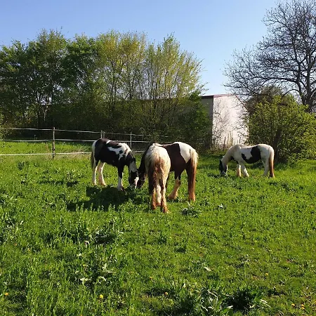 Ferienwohnung Tinkerhof Naehe Bingen Farm stay Gau-Weinheim