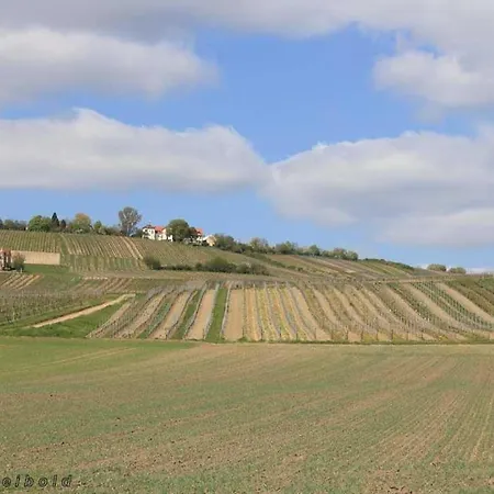 Ferienwohnung Tinkerhof Naehe Bingen Gau-Weinheim
