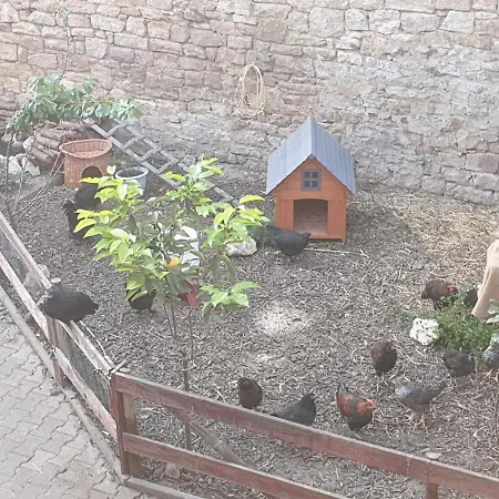 Ferienwohnung Tinkerhof Naehe Bingen *